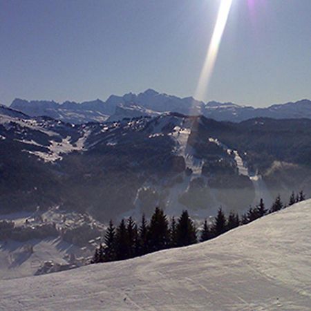 Les Gets Le Grand Paradis ภายนอก รูปภาพ